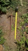 P_20170719_150327_BF.jpg