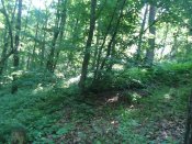 DSC07379.JPG