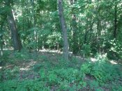 DSC07386.JPG