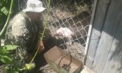 20170720_120214.jpg