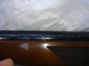 IMG_20170720_142618.jpg
