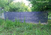 IMG_20170716_185658.jpg