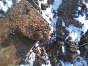 IMG-20120114-00061.jpg