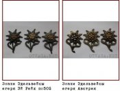 Эдельвейсы - копия.jpg