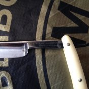 image.jpeg
