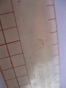 IMG_3746.JPG