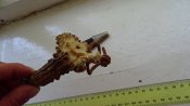 DSC07462.JPG