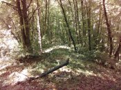 IMG_20170723_130145.jpg