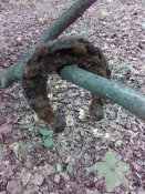 IMG_20170723_175303.jpg