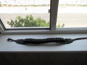IMG_5794.JPG