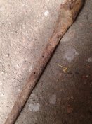 20170724_112614.jpg