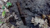 IMG_20170715_091203.jpg