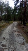 IMG_20170726_124247.jpg