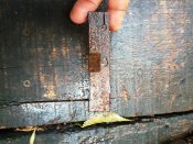 IMG_20170727_184048.jpg