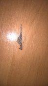 WP_20170728_14_38_31_Pro.jpg