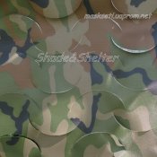 hlk.jpg