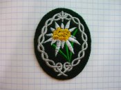 Narukavnyy.shevron.gornye.egerya.Wehrmacht.P1040815.JPG