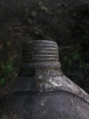 20170730_095228.jpg