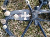 IMG_20170308_163531.jpg