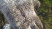 20170730_071755.jpg