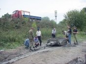 57299_95933.jpg
