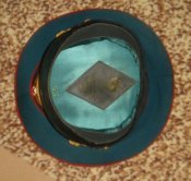 DSC00428.JPG