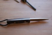 DSC00006.JPG