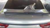 20170801_155450.jpg