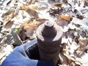 100_3124.jpg