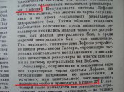 DSC08135.JPG