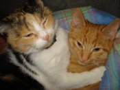 DSC00141.JPG
