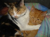 DSC00142.JPG