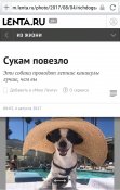 PicsArt_08-04-10.28.06.jpg