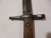 SDC11520.JPG
