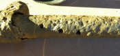 DSCN1734-1.jpg