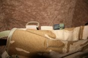 IMG_5708.jpg
