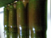 20012012(047).jpg