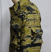 gold_tiger_4_1.jpg