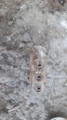 20170806_083823.jpg