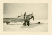 W 34 war einmotoriger Tiefdecker Russland.JPG