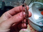IMG_20170805_223308.jpg