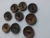 20170807_121051.jpg