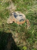 20170806_135720.jpg