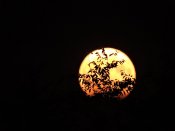 DSCN7906.JPG