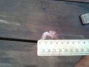 IMG_20170809_071852.jpg