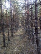 IMG_20170731_173740.jpg