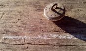 IMG_20170809_184807.jpg