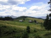 IMG_9675.JPG