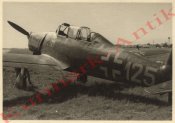 Flugzeug AR96.jpg
