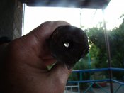 DSC09696.JPG
